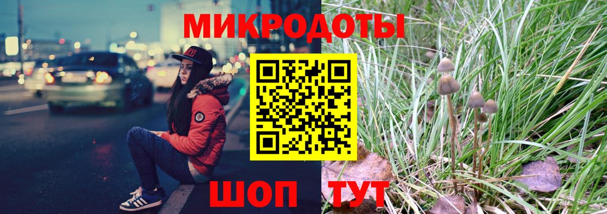 Псилоцибиновые грибы Psilocybine cubensis Магадан